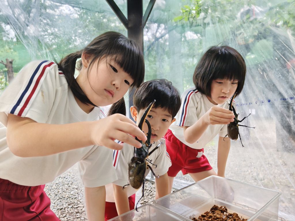 ヘラクレスオオカブトを持つ児童の様子