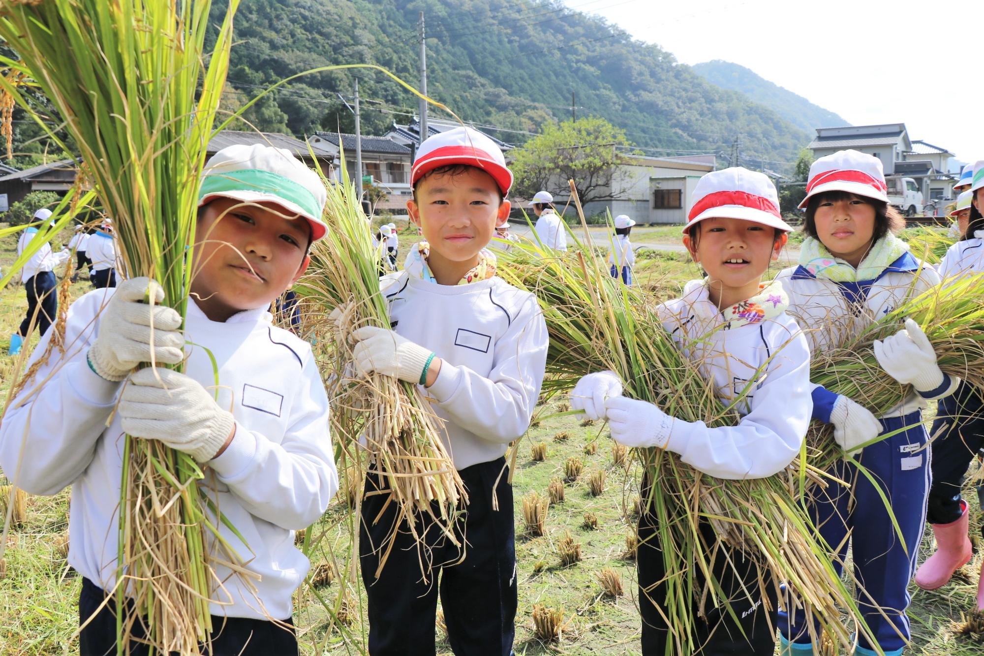 刈り取った稲を運ぶ子どもたちの写真