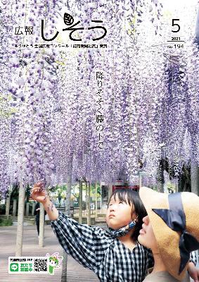 広報5月号表紙 大歳神社(山崎町)の千年藤を母親と鑑賞する子どもの写真