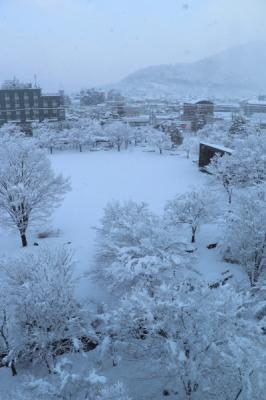 真っ白になった雪景色の夢公園の写真