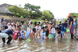 伊沢川鮎つかみ大会で鮎を捕まえる子どもたちの写真