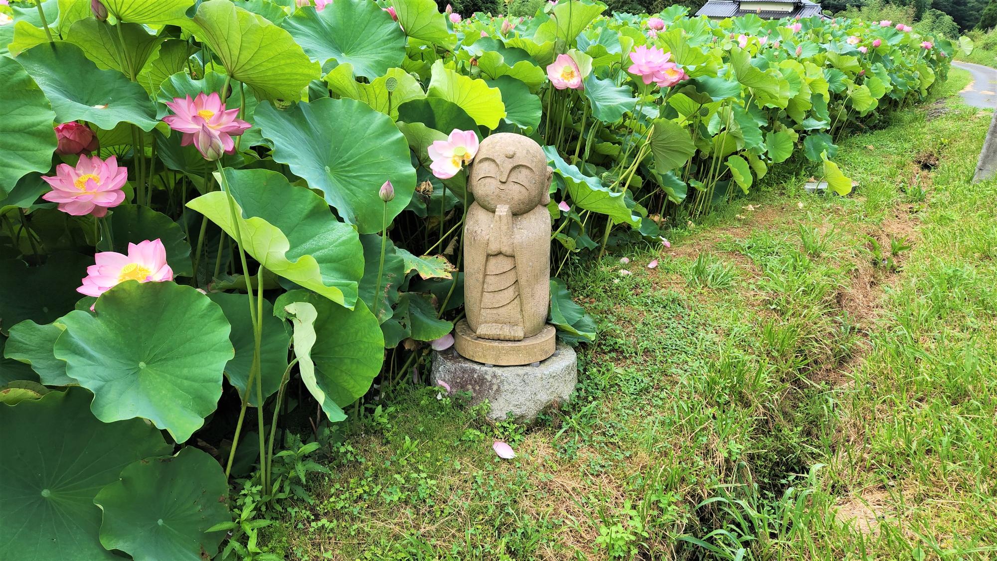 ハス池の脇に置かれたお地蔵さんの写真