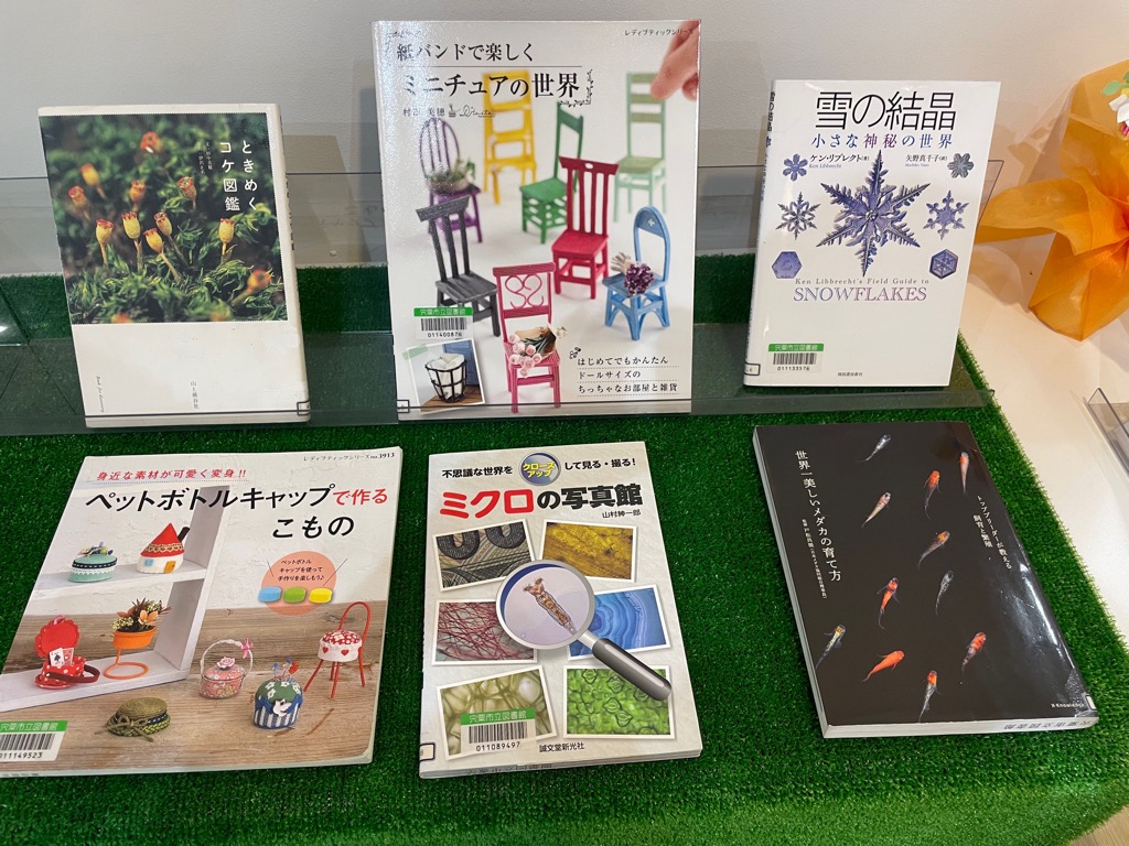 展示特集特集コーナーに「小さな世界」に関する本が並んだ写真