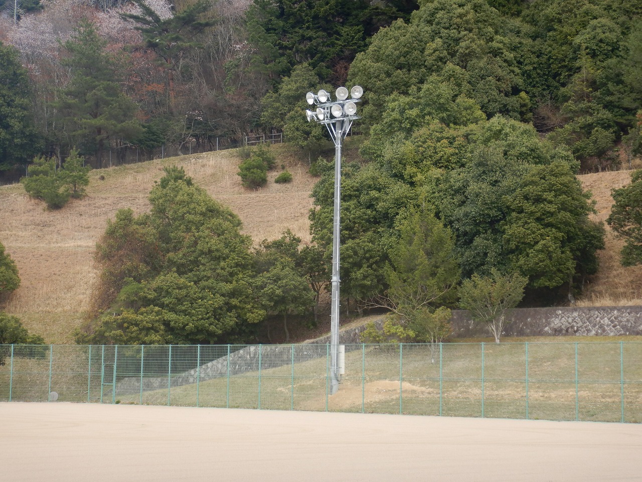 スポニックパークいちのみやグラウンドのライト側夜間照明施設の写真