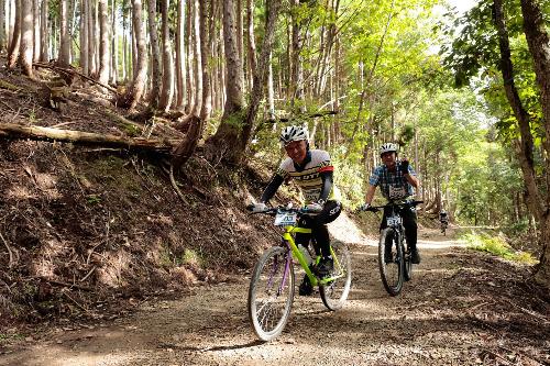 昨年度参加者が氷ノ山の林道で自転車に乗っている写真