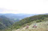 夏山の風景の写真