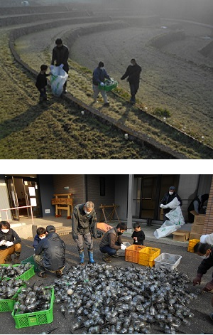 田んぼの畦からペットボタル回収する地元住民らの写真