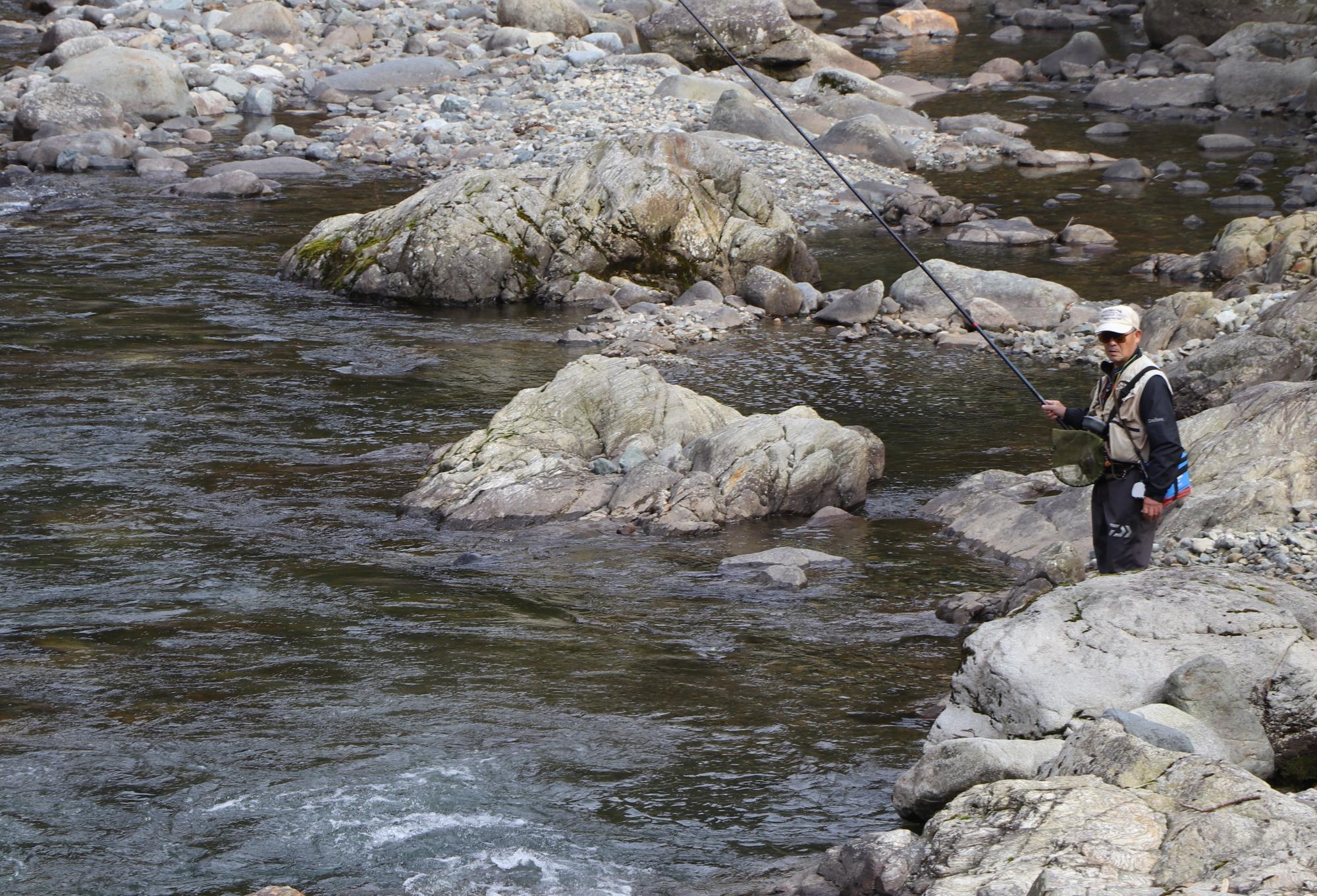 引原川の流れに釣り糸を垂らしアマゴ釣りをする釣り人の写真