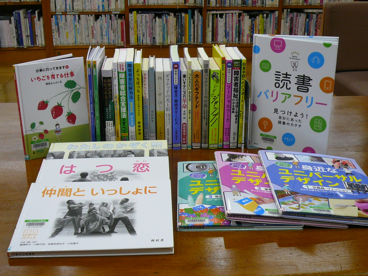 障がい者用図書充実事業により購入した書籍の画像