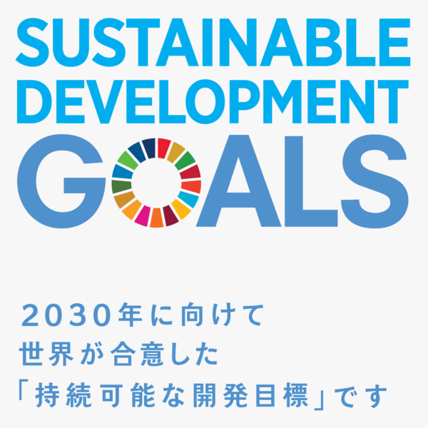 国連指定の薄い青色がベースの持続可能な開発目標のロゴと2030年に向けた目標であることを説明した文章の画像