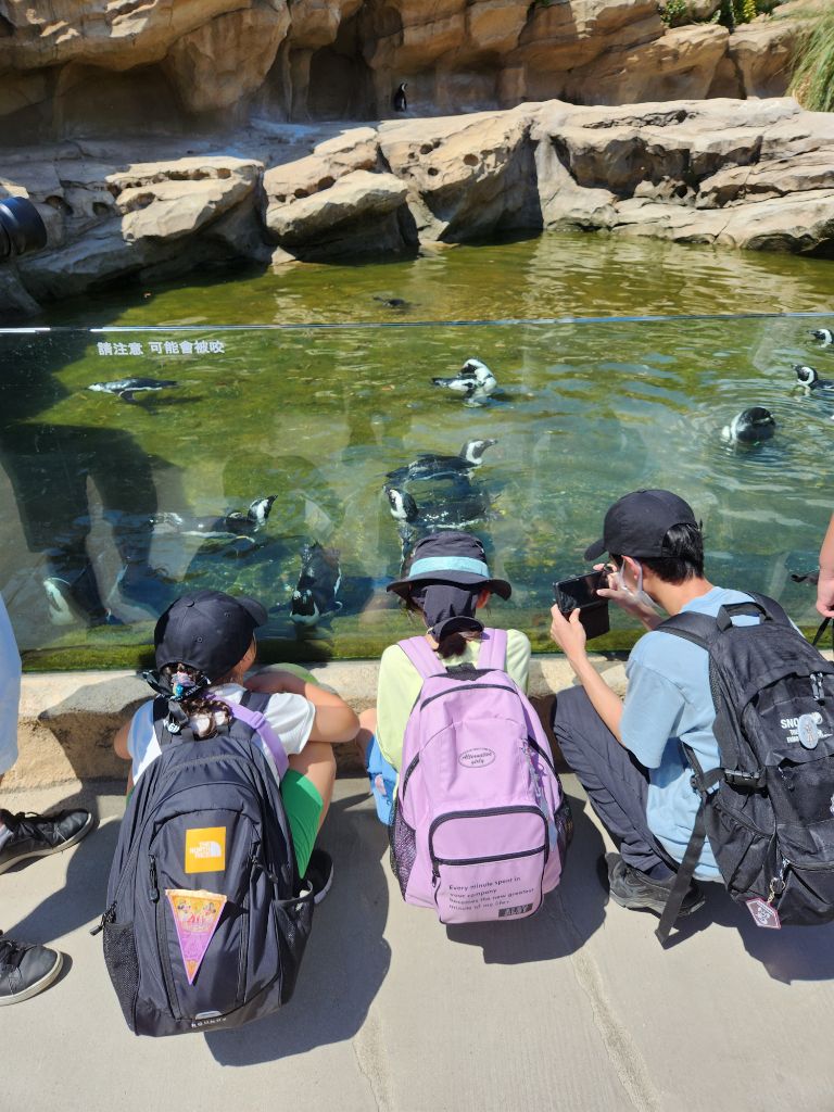 屋外水槽にいるペンギンを観察する参加者たち