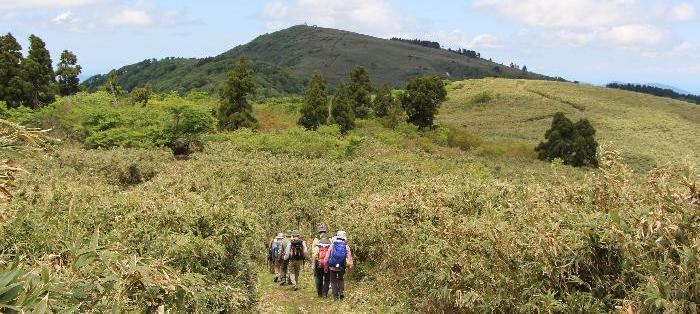 三の丸から頂上をめざし登山道を進む登山者らの一行の写真