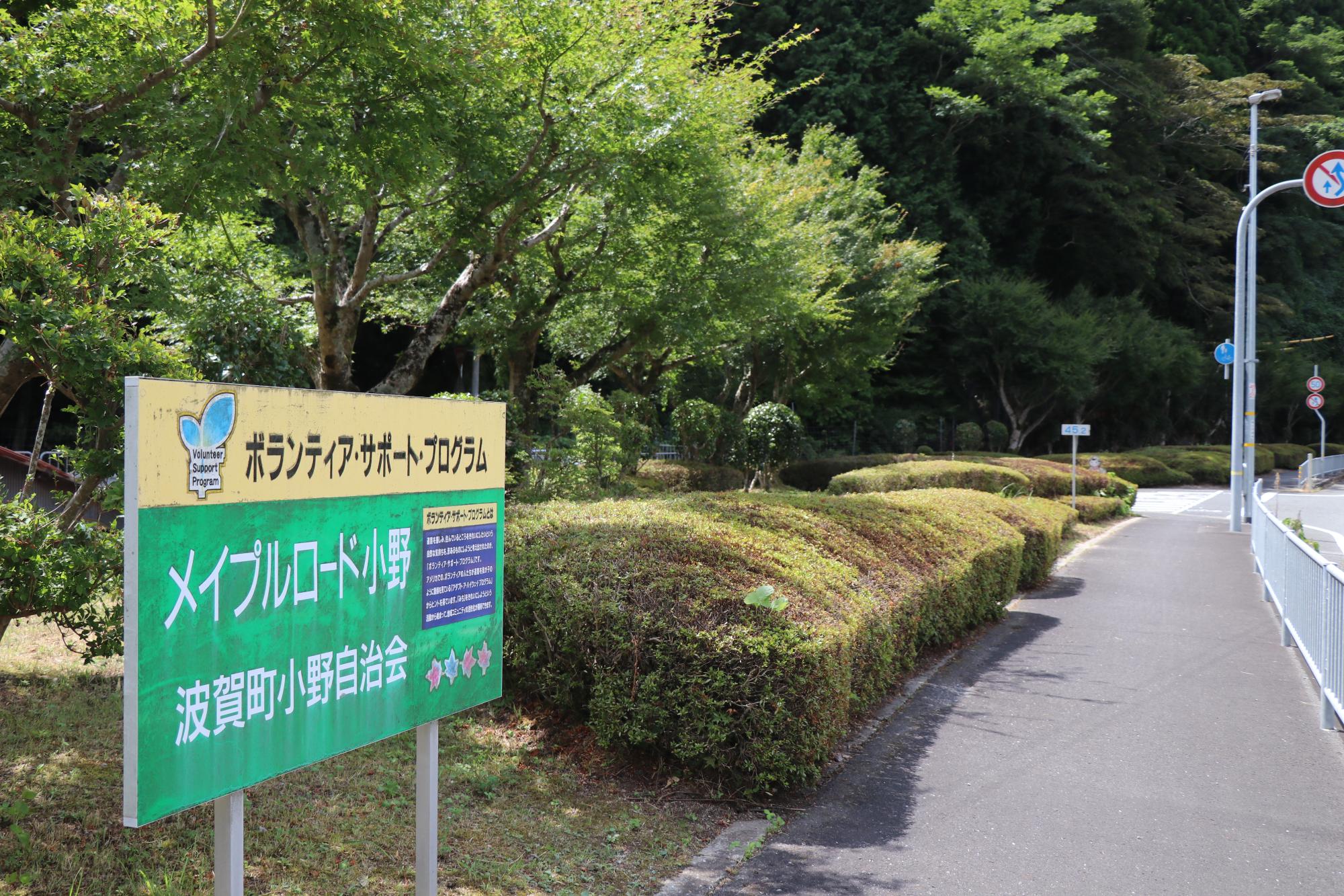 メイプルロード小野の歩道と美しく剪定されたさつきの写真