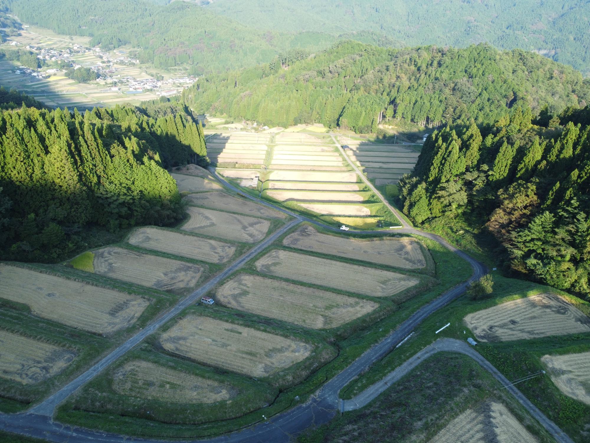 稲刈りが行われた後の飯見の棚田の写真