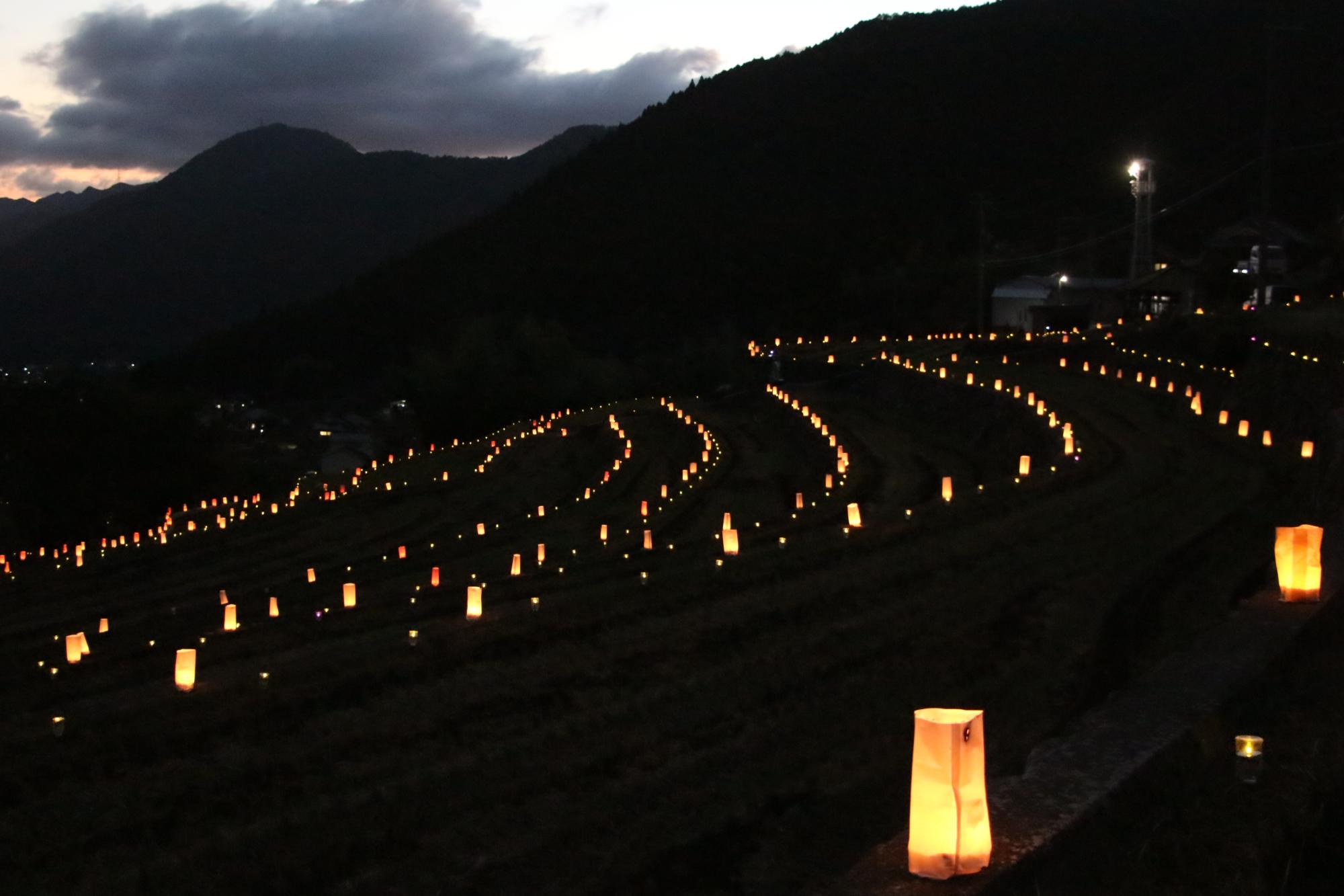 山田の棚田のライトアップイベント「棚田の灯り」で光輝きながらあぜ道に並ぶ灯篭の写真