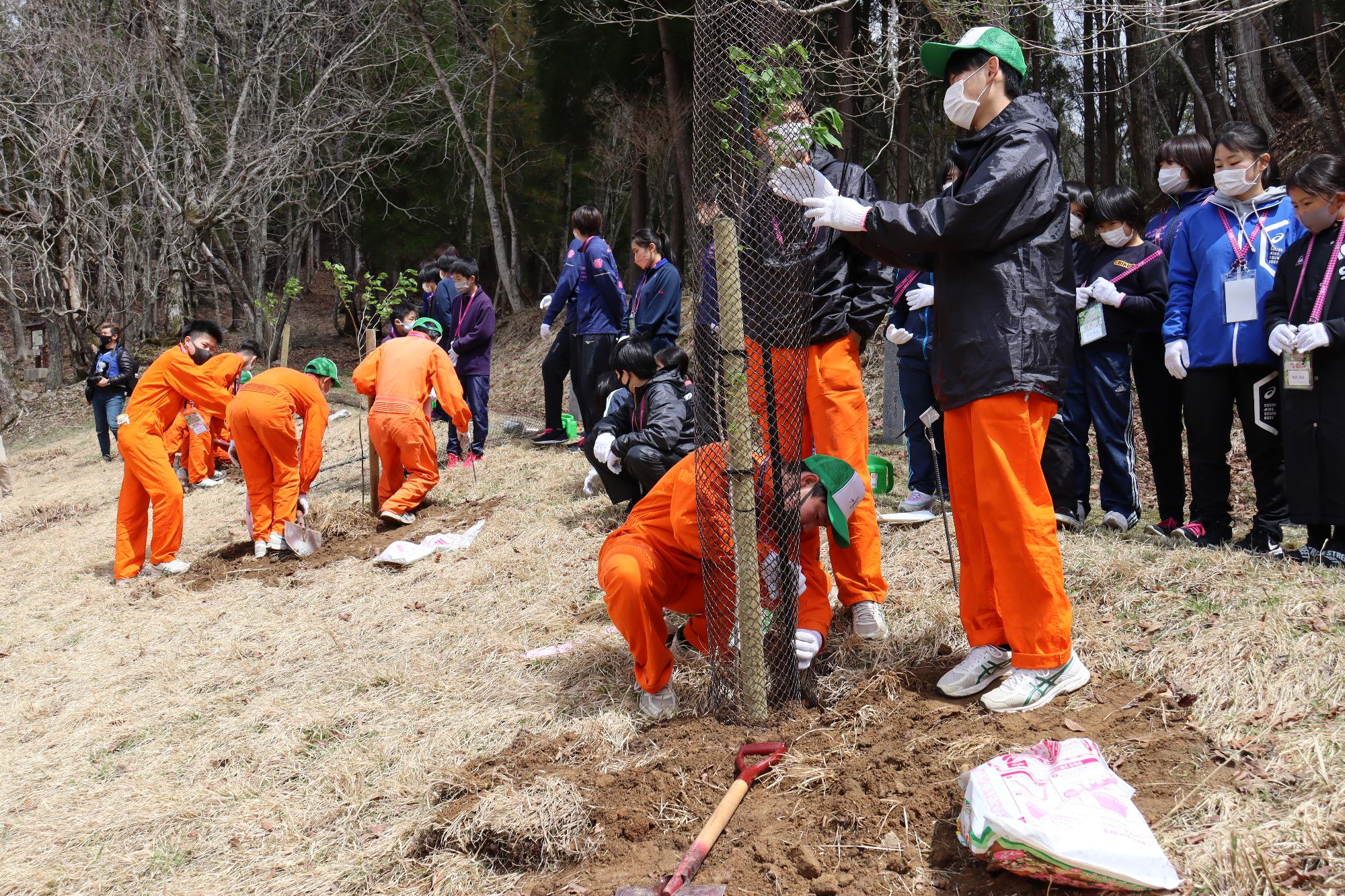 植樹の実演を行う山崎高校森林環境科学科の学生
