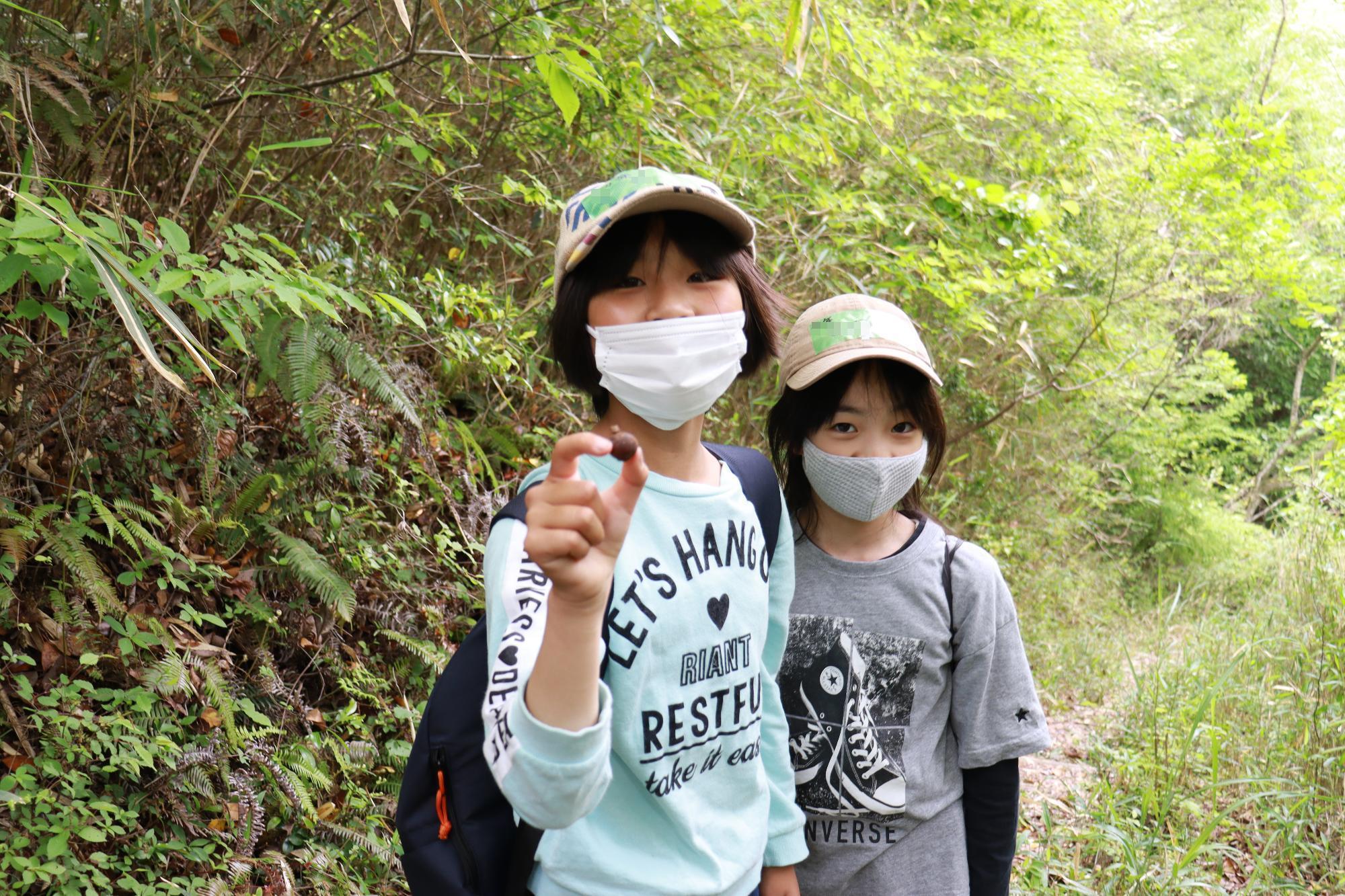 宍粟あるもの探しプログラムに参加した子どもが山の中で見つけた木の実を見せている写真