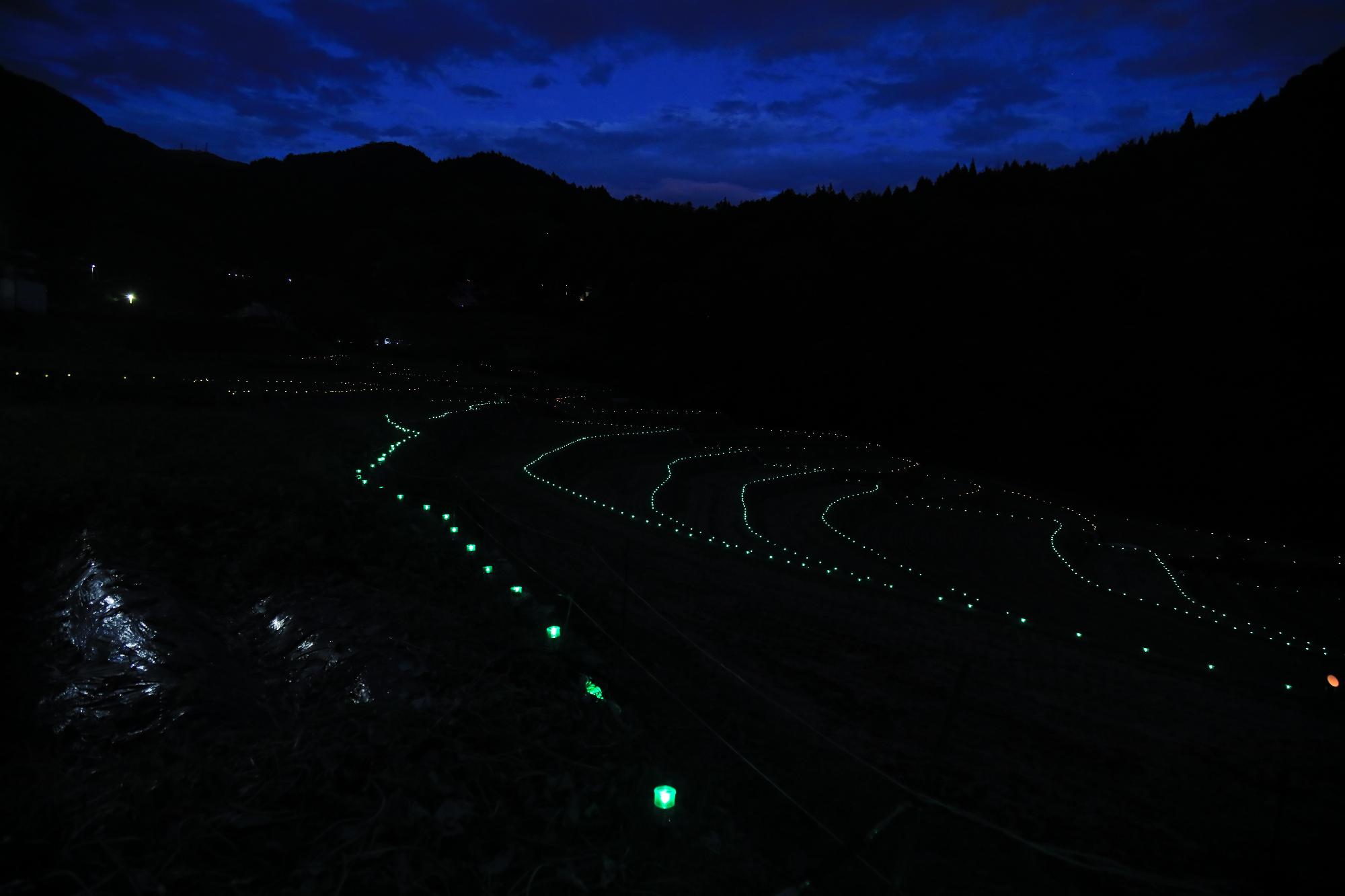 一宮町東河内の山田地区でライトアップされている棚田の写真