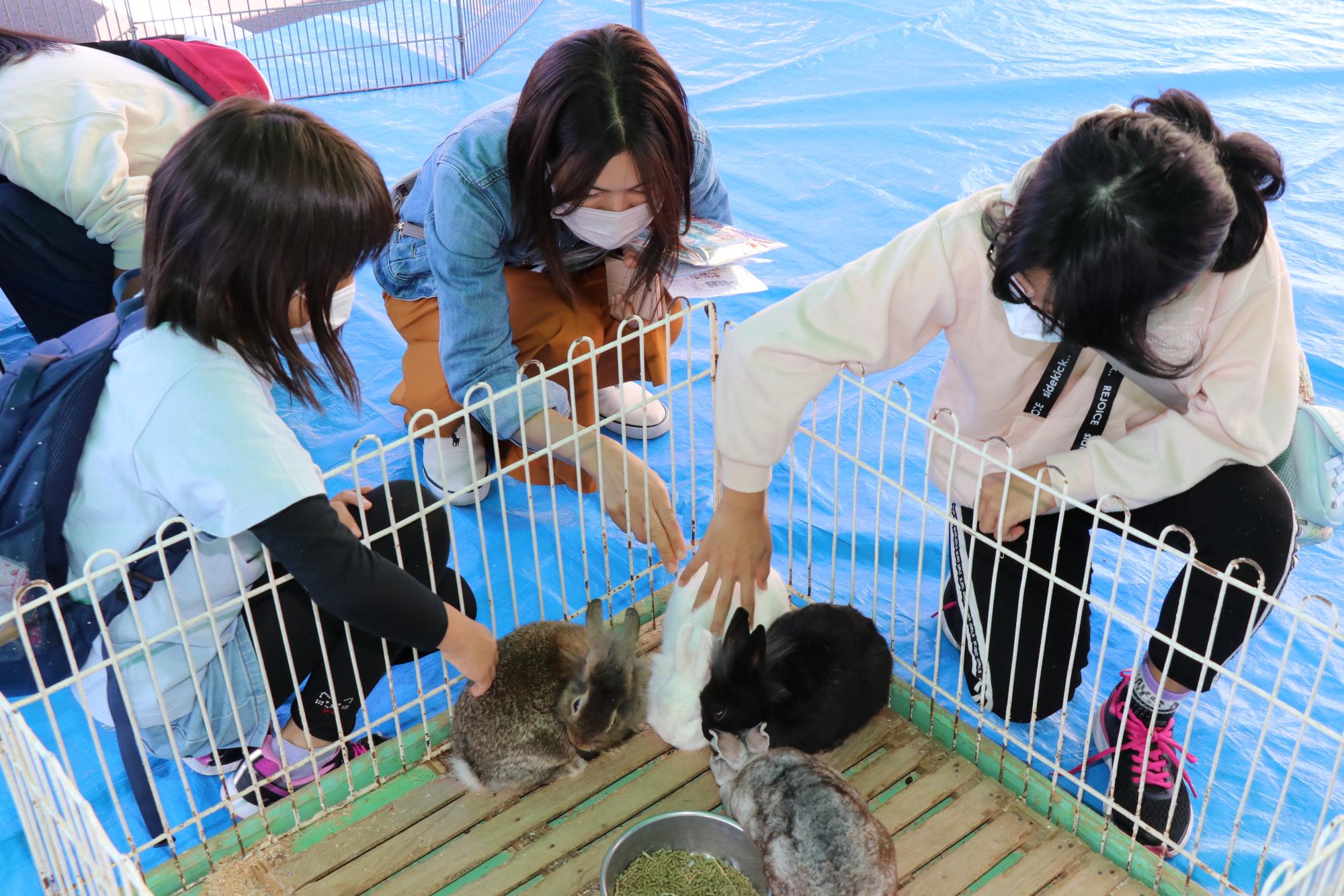 動物とのふれあいコーナーでウサギをなでる親子