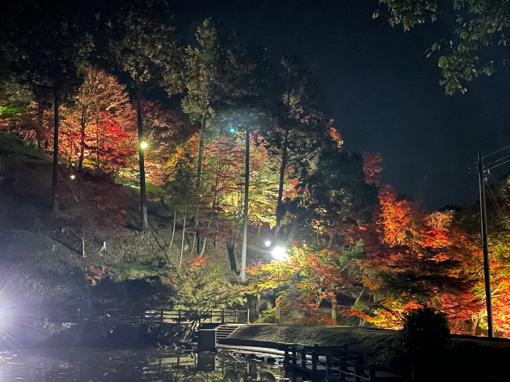 最上山公園もみじ山のライトアップ写真