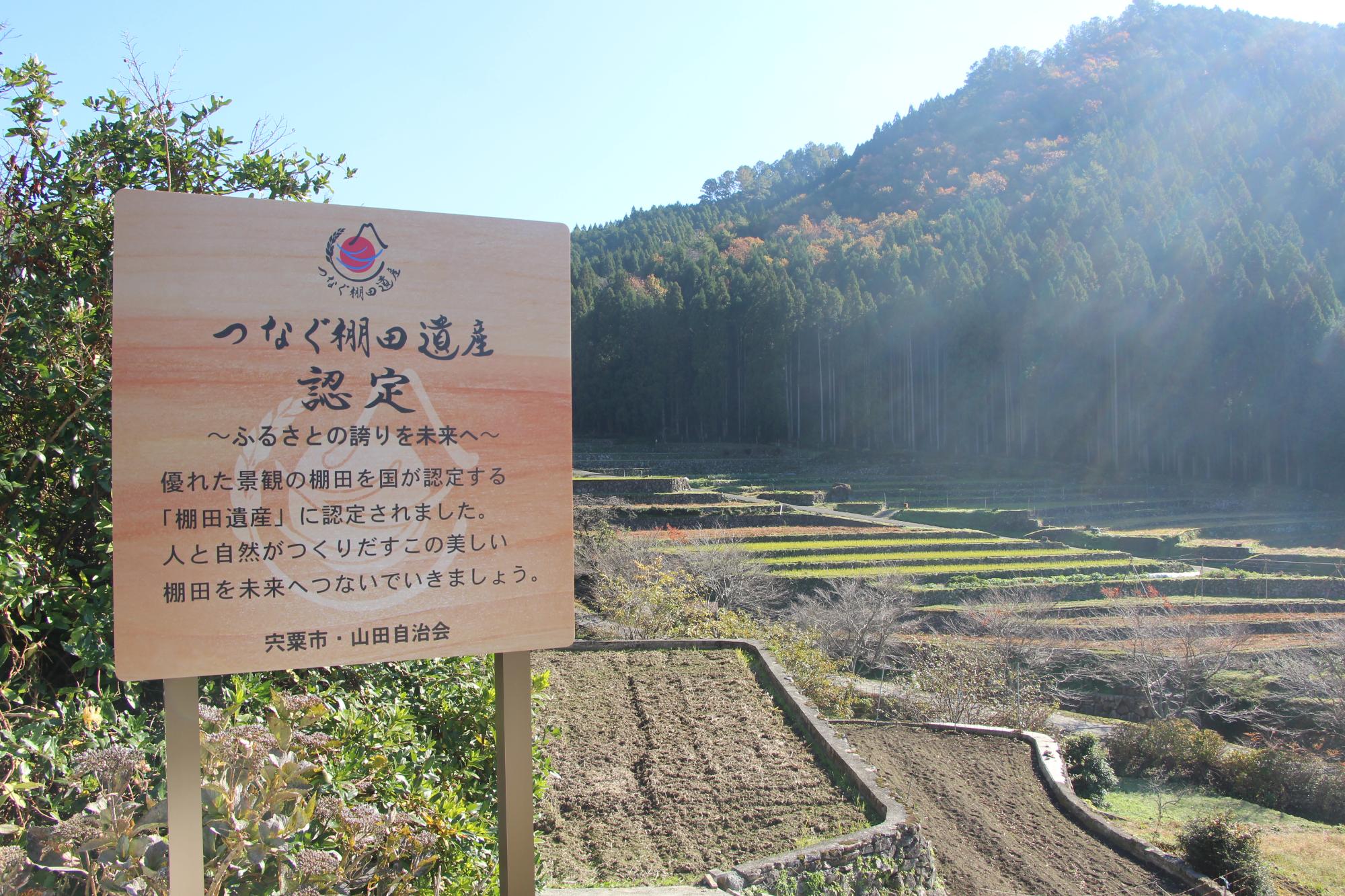 農林水産省の「つなぐ棚田遺産」に認定されている一宮町山田地区の棚田の写真