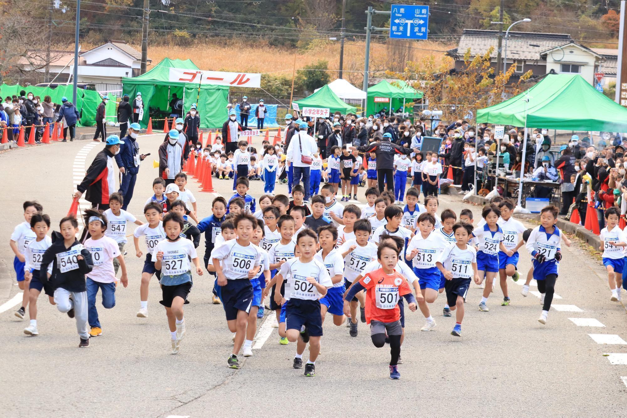 観客が見守る中で号砲とともに集団でスタートした小学生の写真