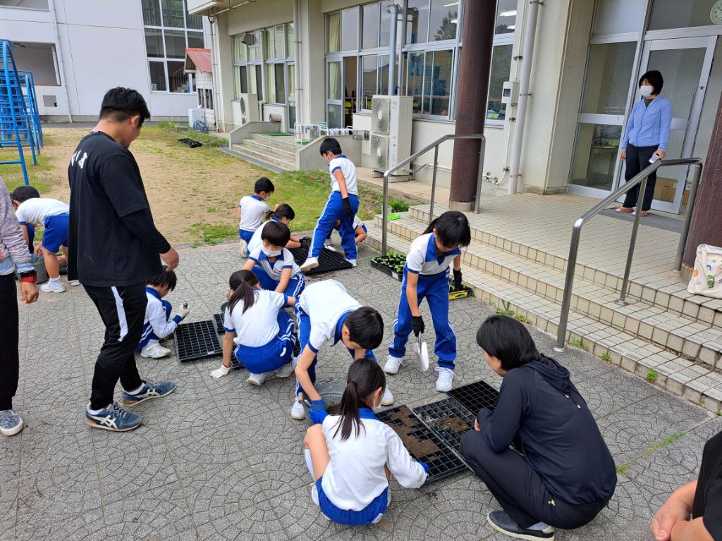 神野小学校の3年生が苗箱に土を入れている写真