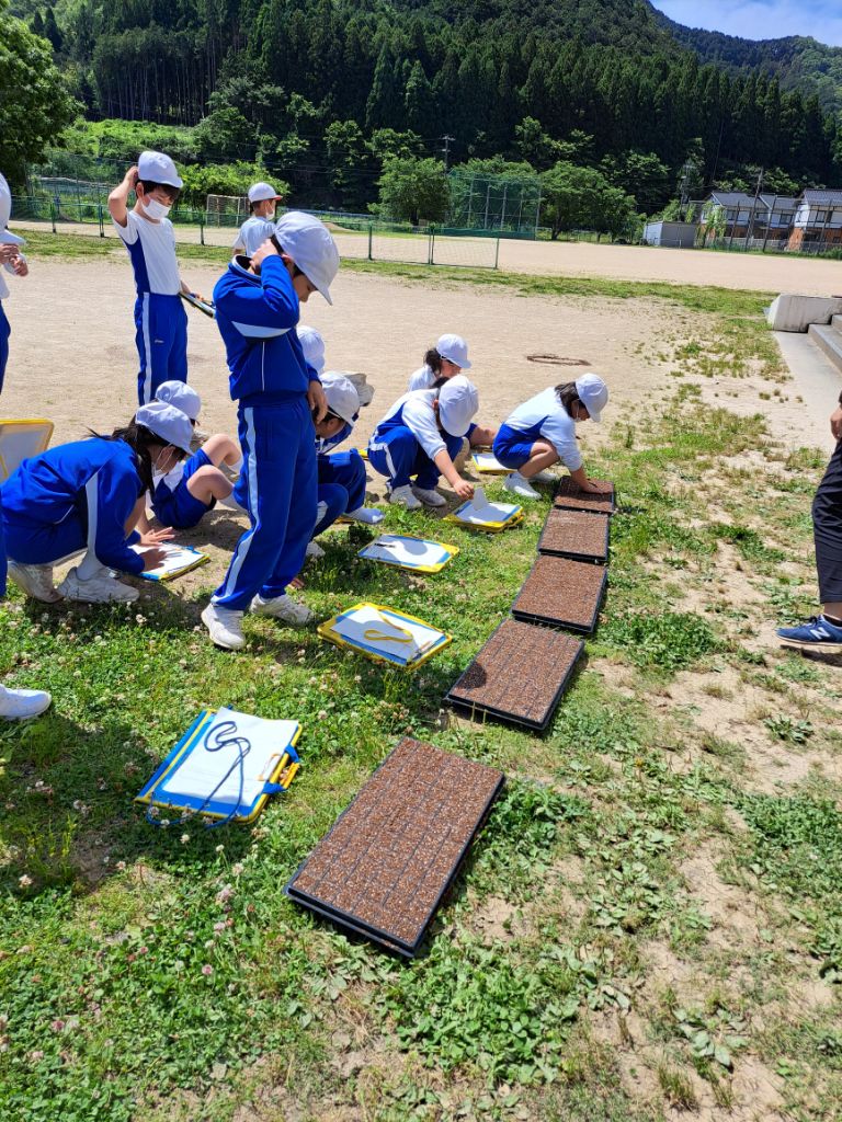 児童らが大豆の種をまいた苗箱を並べて観察している写真