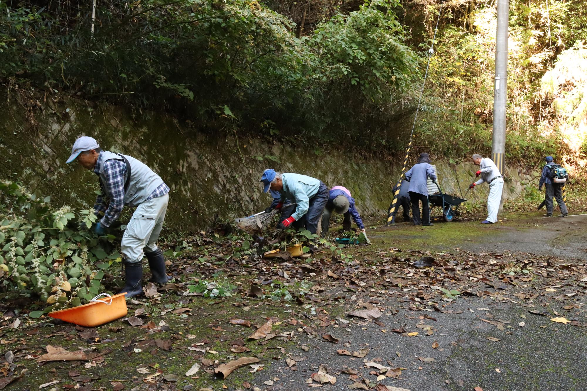 シルバー人材センターの会員が道路上の落ち葉や木の枝を回収している写真