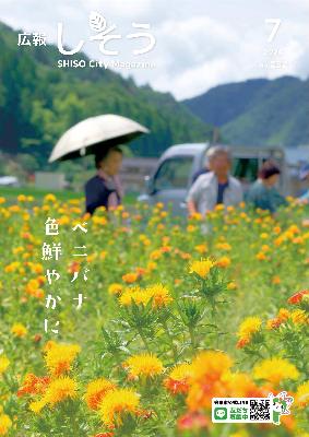広報しそう7月号表紙：山崎町上ノ下にあるベニバナ畑でベニバナが色鮮やかに咲いている写真