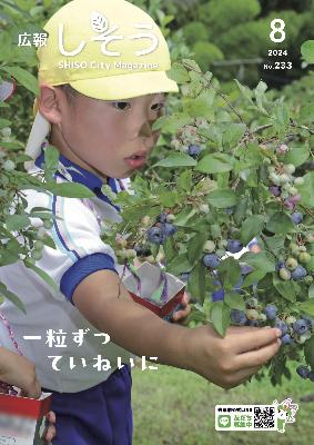 広報しそう8月号表紙：ブルーベリー狩りをしている園児の写真