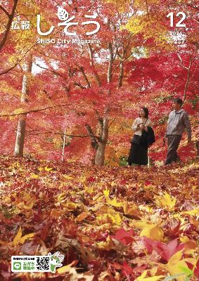 広報12月号：最上山公園もみじ山が紅葉している写真