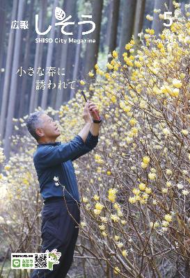広報5月号：一宮町本谷でミツマタを撮影する男性の写真
