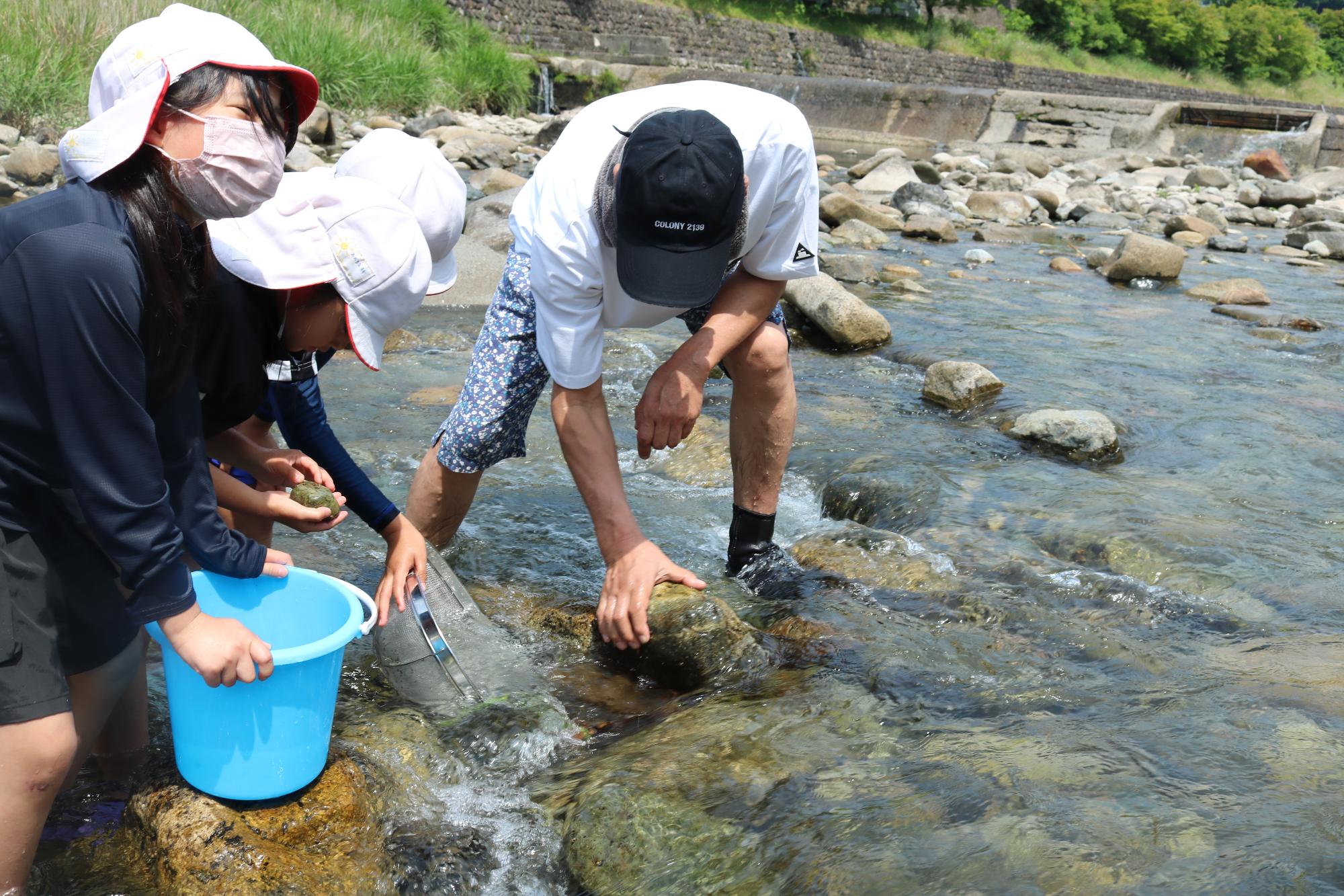波賀小学生が水生生物を捕獲している様子