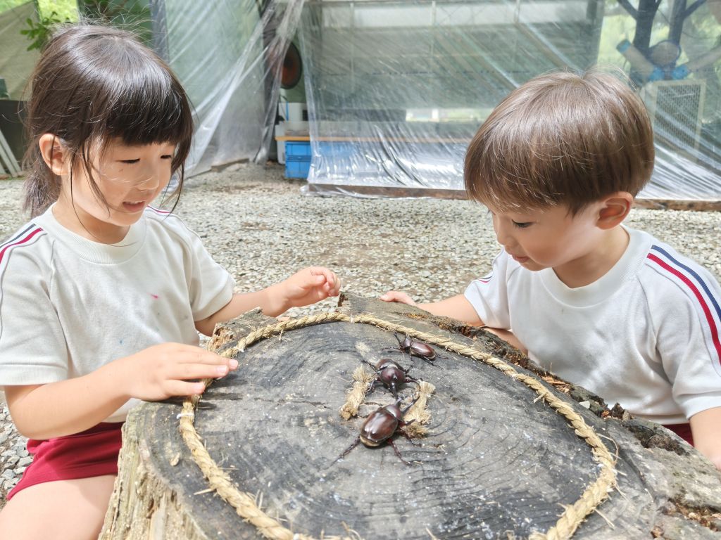 7月8日：波賀幼児童 カブトムシドーム訪問の画像