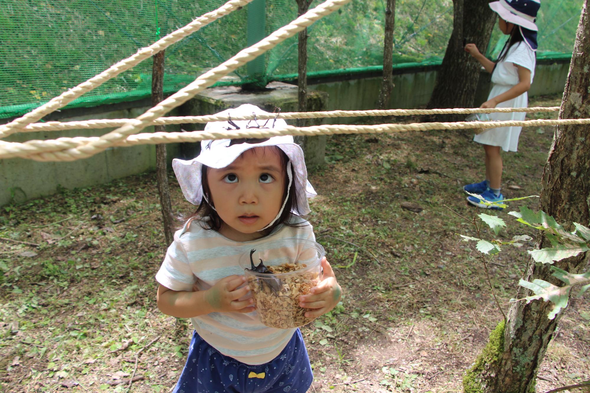 一宮カブトムシドームでカブトムシを見つめる子ども