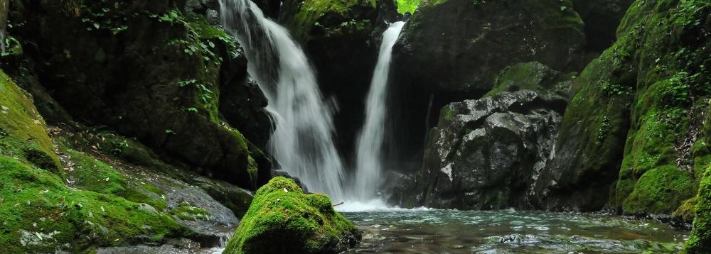 新緑に包まれた春の明神滝