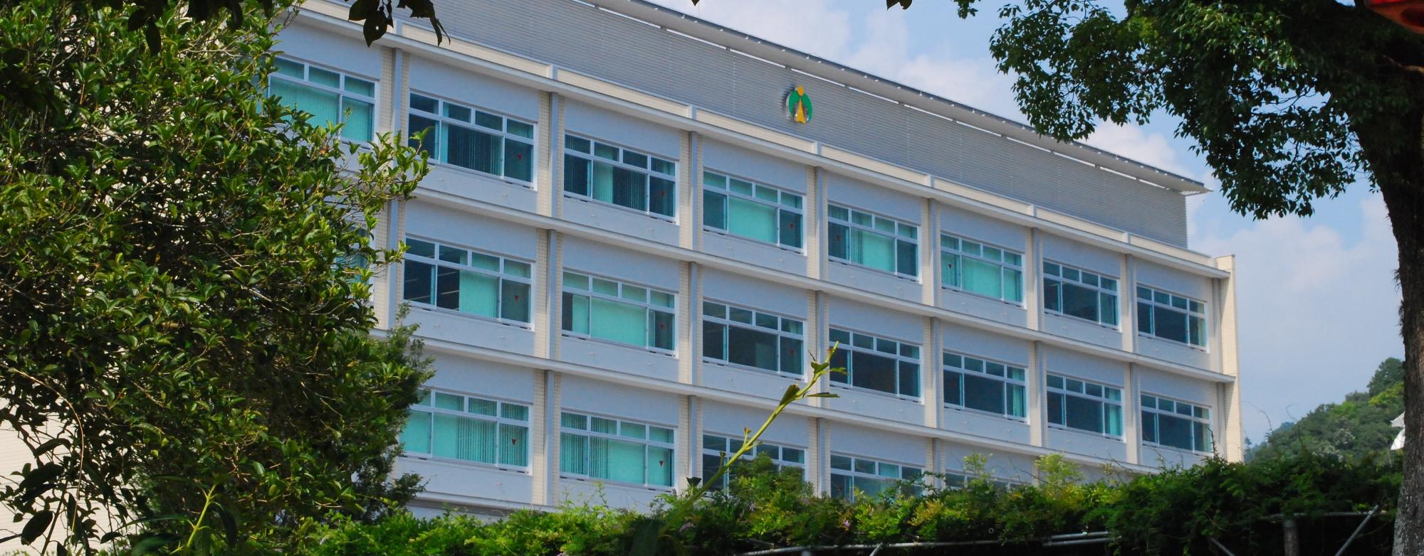 木立の向こうに宍粟市役所庁舎が写っている画像