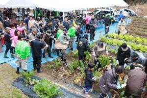 大根などの野菜を来場者が収穫する波賀町谷収穫祭の写真