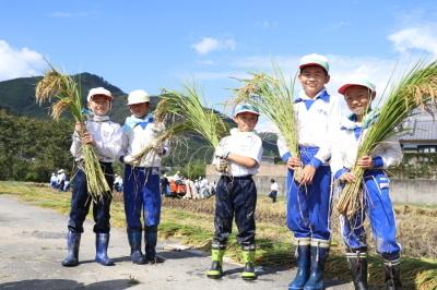 刈った稲の束を持ってカメラに向かう5人の小学生の記念写真