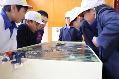 山崎町の地形の模型に水を流しどの地区が浸水するのかを確認している5人の小学生と指導者の写真