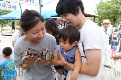 大人が手にしている大きな蛇をいやがる幼い子どもの写真