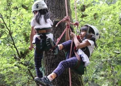 樹につけられたロープをたどって登っているヘルメットをかぶった二人の女の子の写真