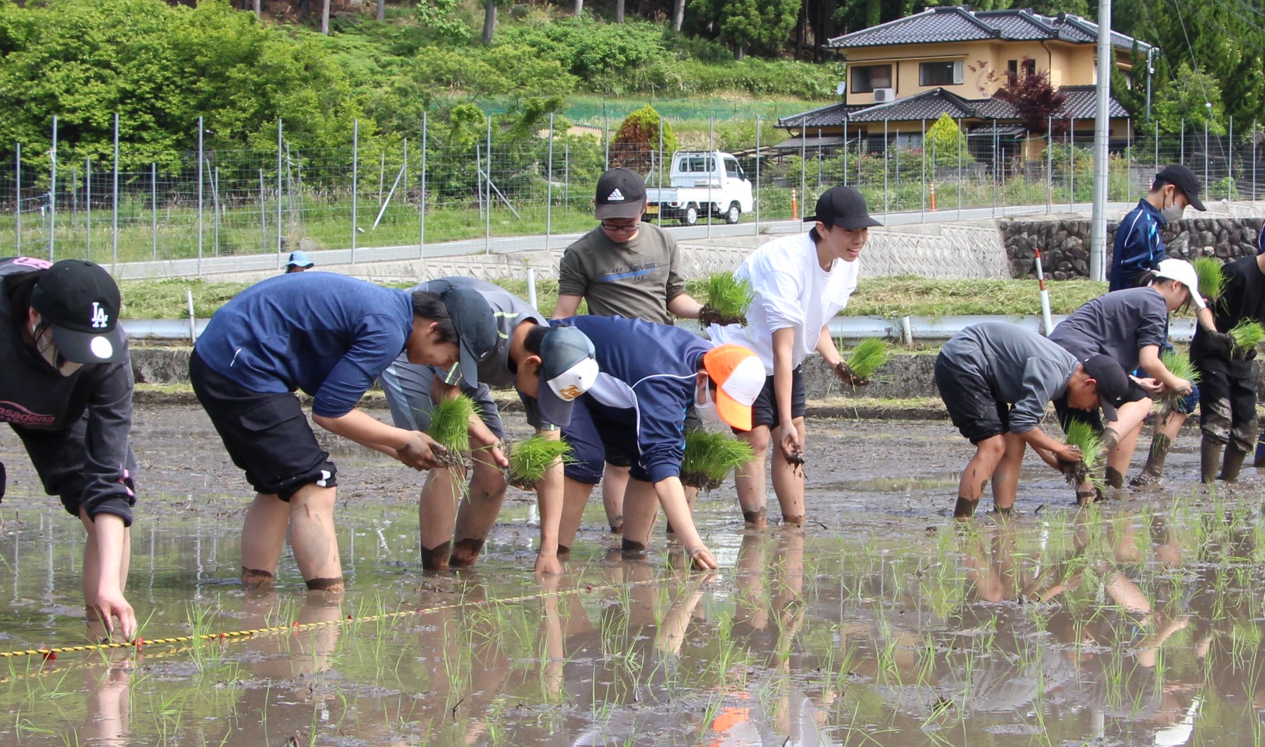 目印のロープに沿って苗を植える様子