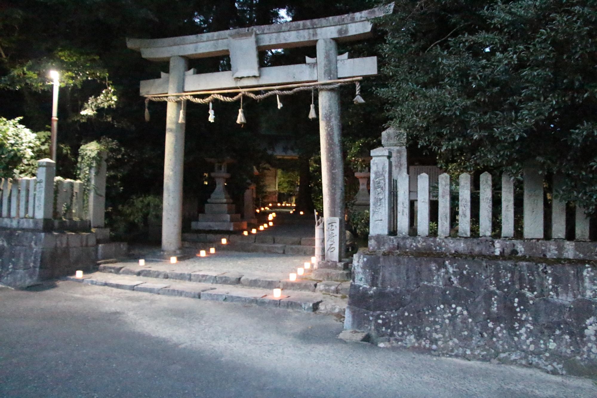 鳥居から本殿への参道を灯明が照らしている写真