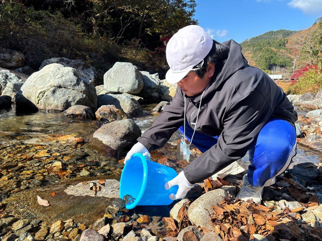 モクズガニを放流している様子