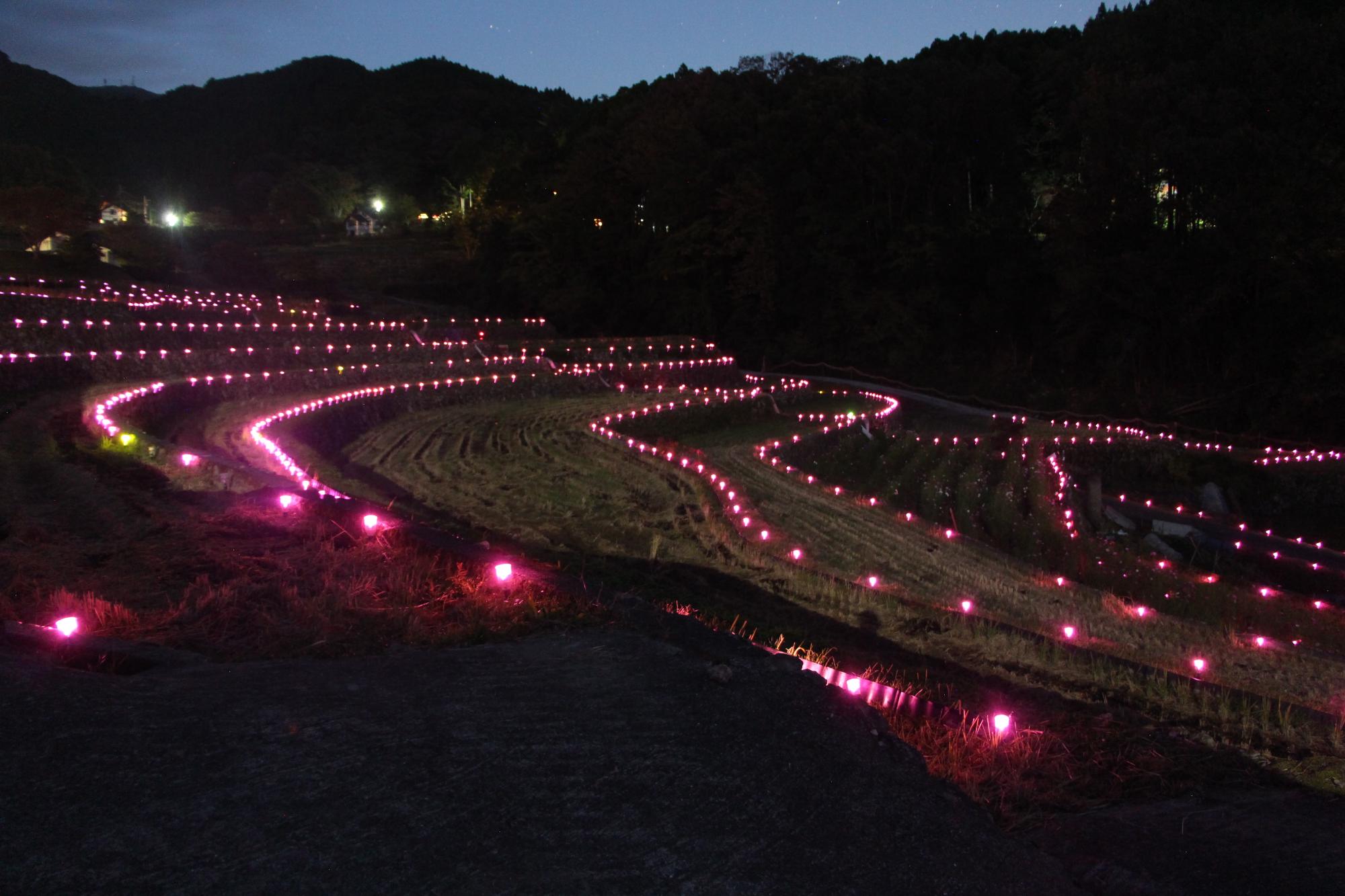 一宮町山田地区の「棚田の灯り」が棚田の夜を彩ります。