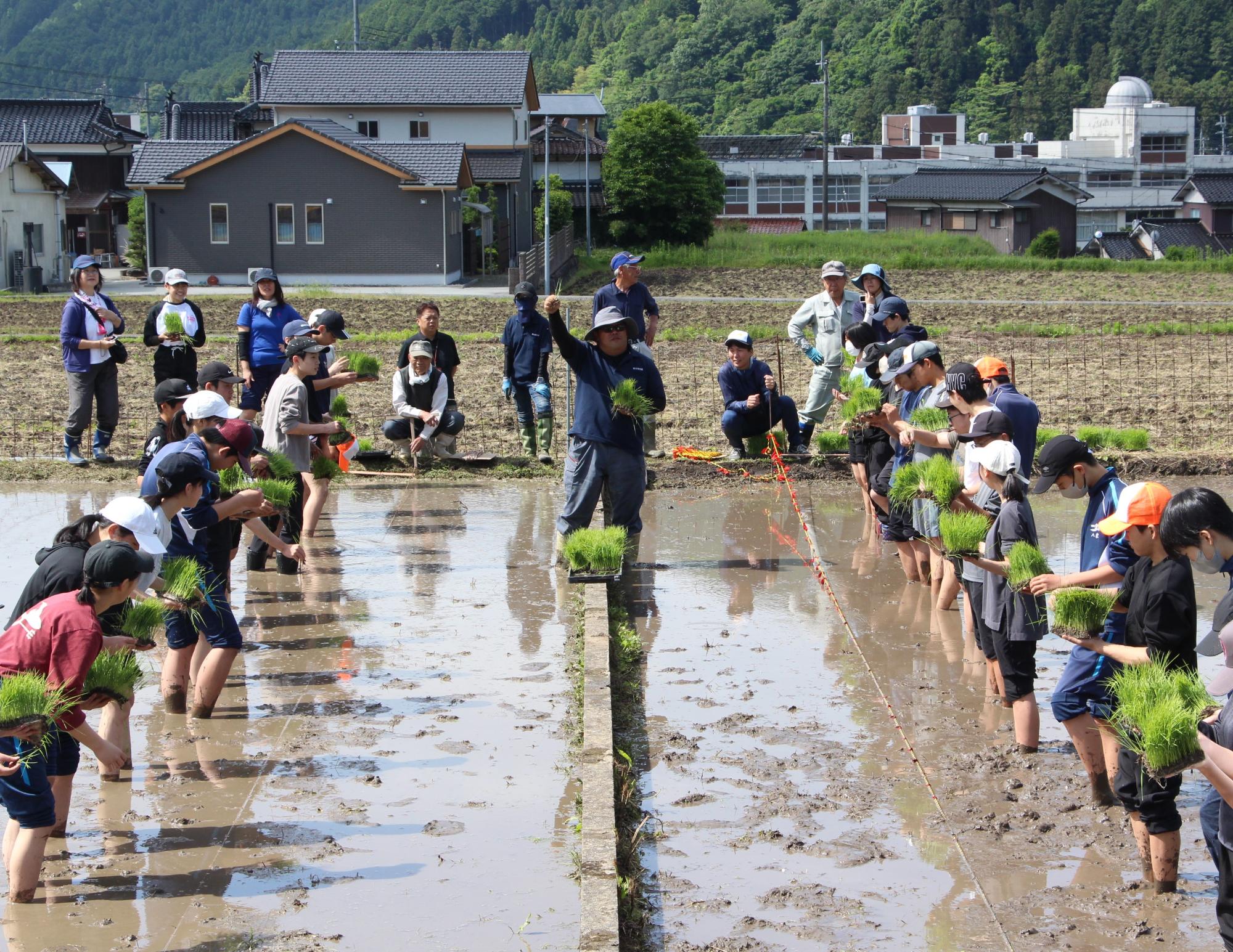 目印のロープに沿って苗を植える様子