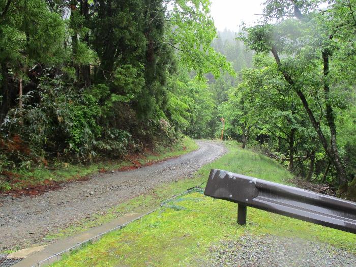 林道 瀞（とろ）川・氷ノ山線の道の状況を撮影した写真