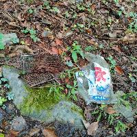 赤西渓谷の森林内に放置されたバーベキューの網とアイスの袋の写真